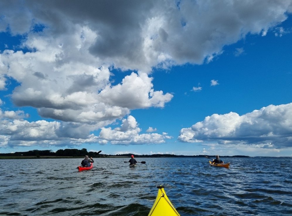 Kajakker på havet ved Sydfyn.