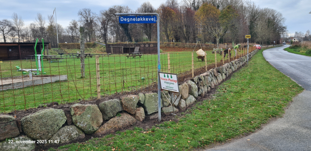 Billede af, at hækken omkring legepladsen i Kølstrup er væk og erstattet af rionet og nyplantet hæk. Foto: Torben Larsen.